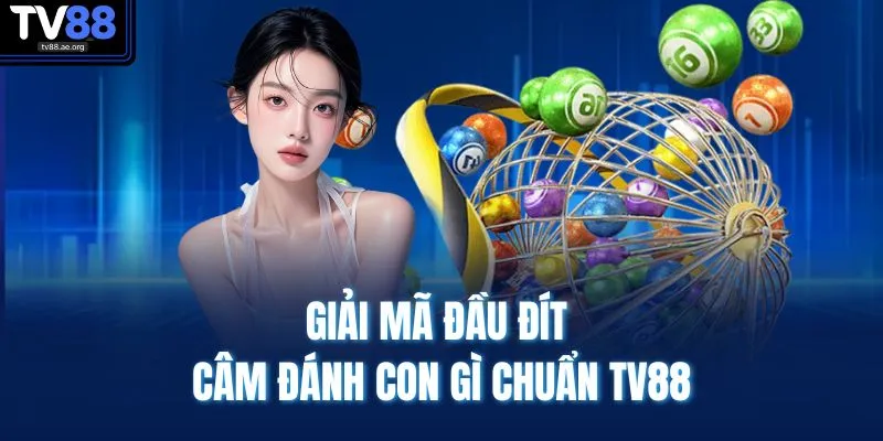 Đầu Đít Câm Đánh Con Gì - Kinh Nghiệm Chuẩn Dễ Ăn Lớn 4 Giải mã đầu đít câm đánh con gì chuẩn TV88
