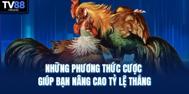Đá Gà TV88 3 Những phương thức cược giúp bạn nâng cao tỷ lệ thắng